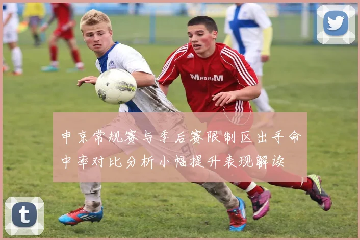 申京常规赛与季后赛限制区出手命中率对比分析小幅提升表现解读